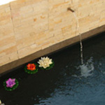 Arum Place Guest House